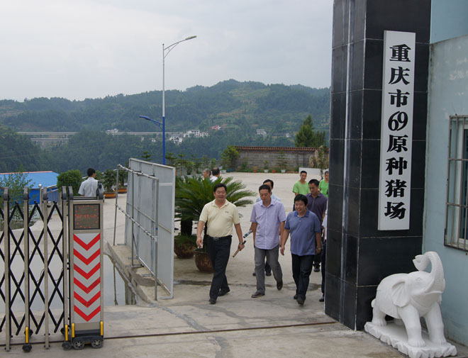 國家鄉(xiāng)村振興局副局長、原黔江區(qū)委書記洪天云視察重慶69